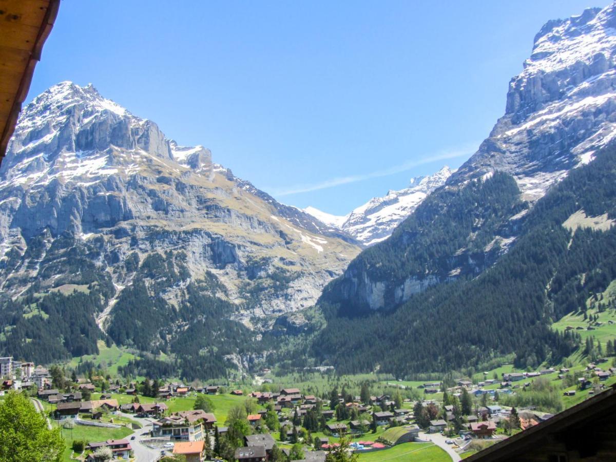 Apartment Chalet Mittelhorn-1 그린델발트 외부 사진