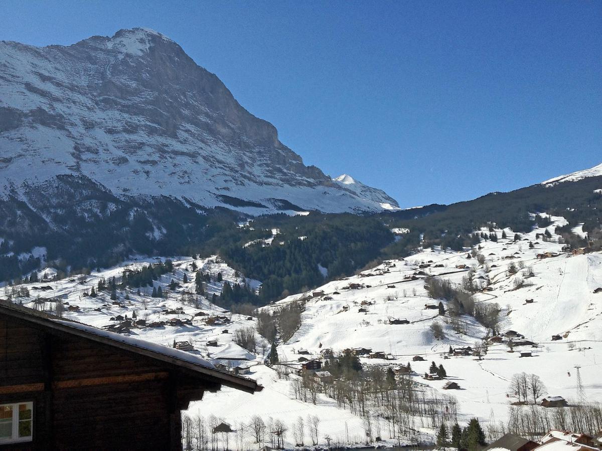 Apartment Chalet Mittelhorn-1 그린델발트 외부 사진