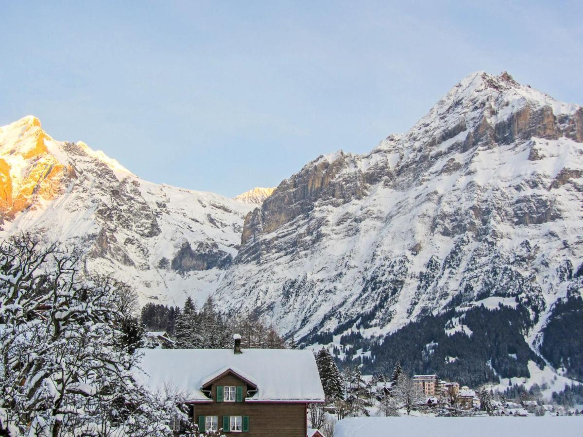 Apartment Chalet Mittelhorn-1 그린델발트 외부 사진